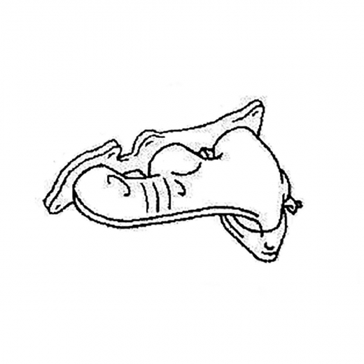 Коллектор выпускной Toyota Harrier '97-'00/ Highlander '00-'03/ Lexus RX '98-'03 (1MZ-FE) передний  контрактный