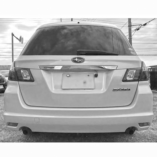 Дверь багажника Subaru Exiga '08-'15 (D061) контрактная