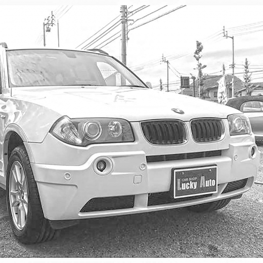 Решетка радиатора BMW X3 E83 '04-'06 левая API (Тайвань)