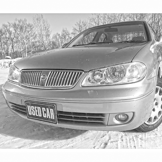 Бампер передний Nissan Bluebird Sylphy '03-'06 (029-065) контрактный