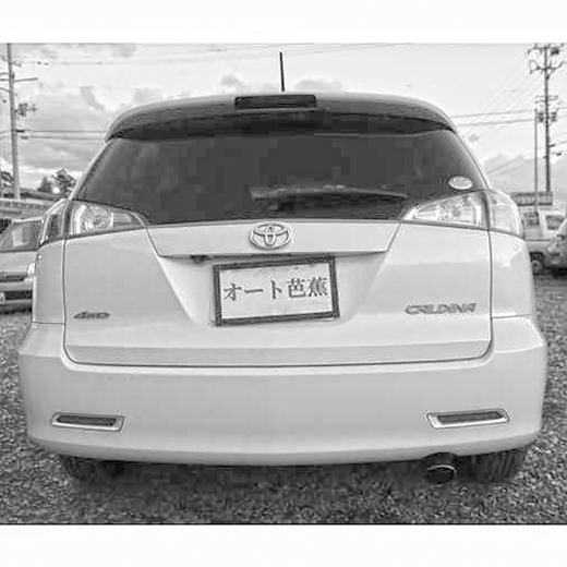 Дверь багажника Toyota Caldina '05-'07 (21-69) контрактная