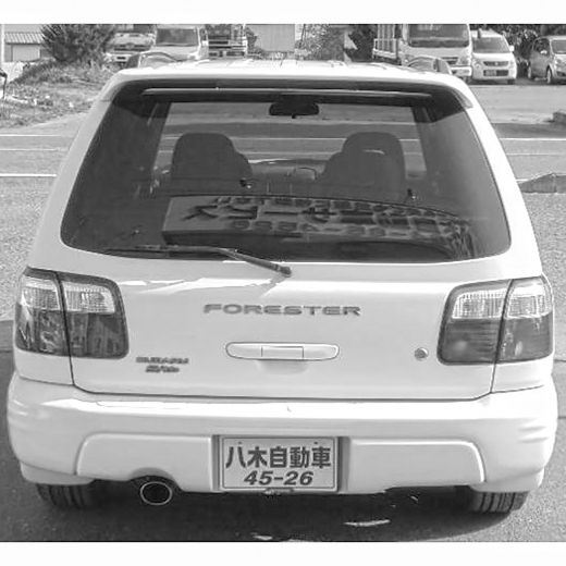 Дверь багажника Subaru Forester '00-'02 (226-20697) контрактная