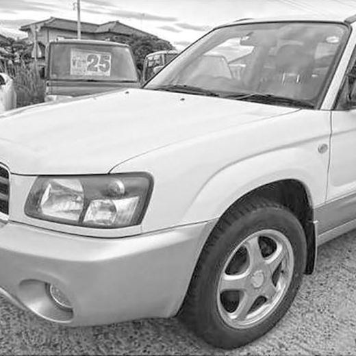 Крыло переднее Subaru Forester '01-'05 левое API (Тайвань)